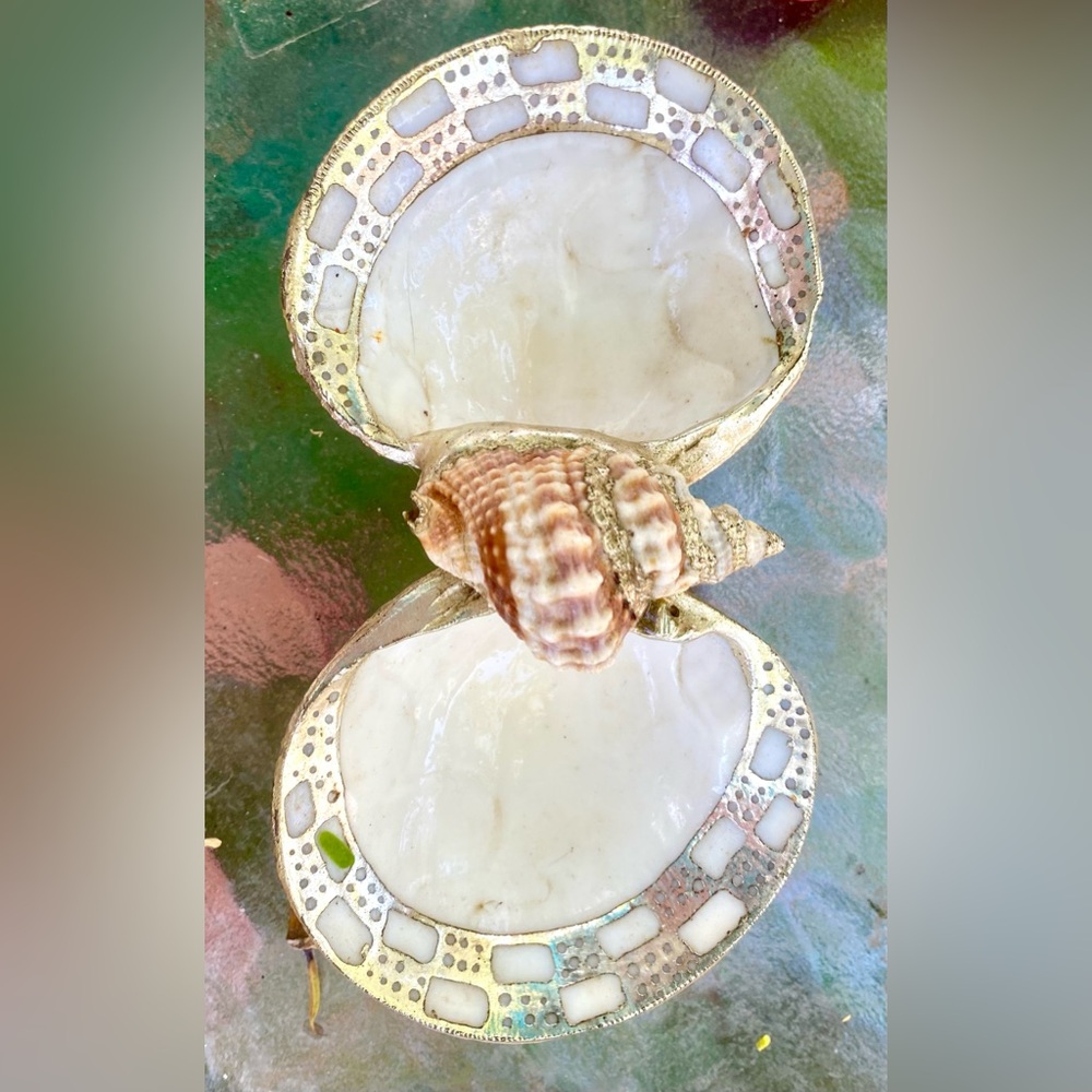 Gold and Cream Venus Clam Seashell Trinket/Snack Dish with Gold Trim - Picture 2 of 7